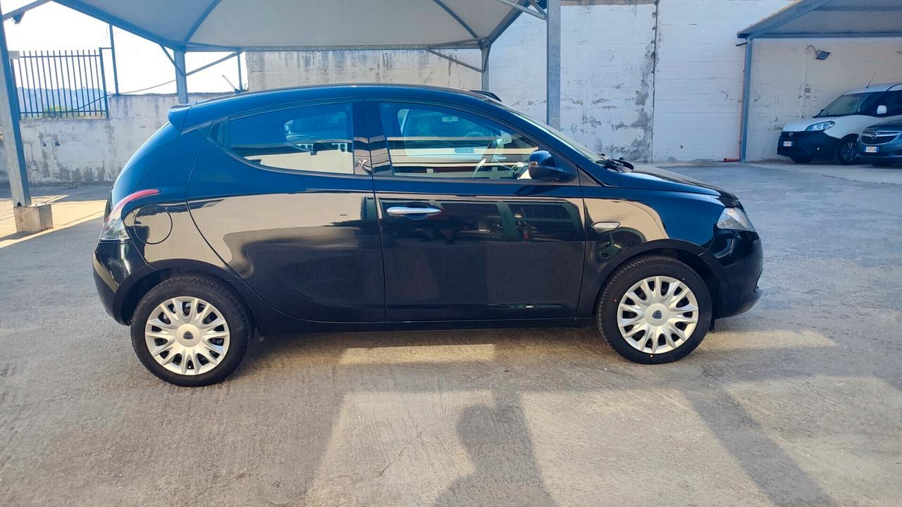 Lancia Ypsilon 1.2 69 CV 5 porte Elefantino