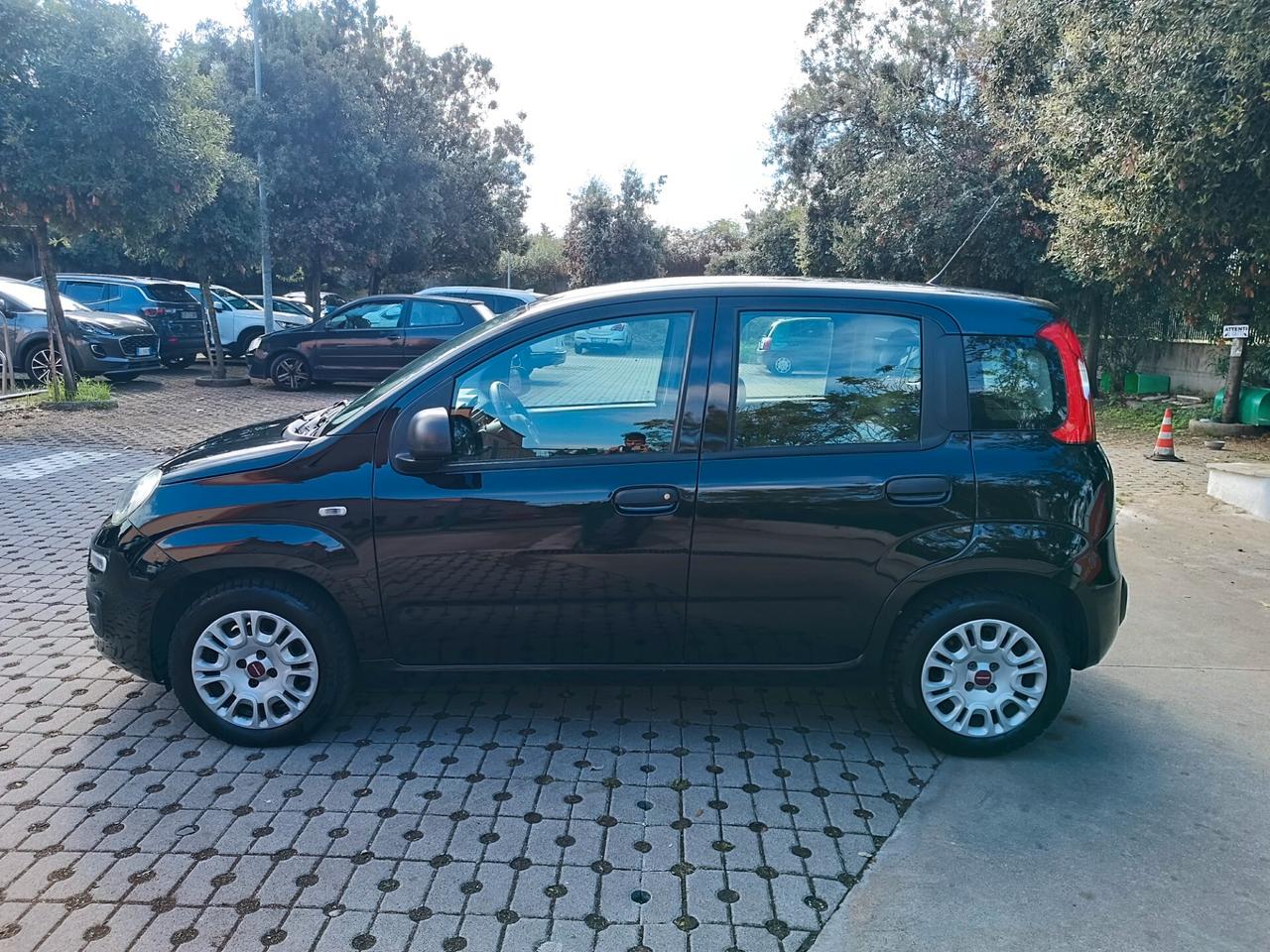 Fiat Panda 1.2 Easy PERFETTA