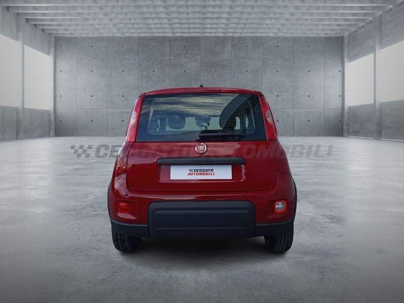 FIAT Panda 1.0 70cv Hybrid Panda