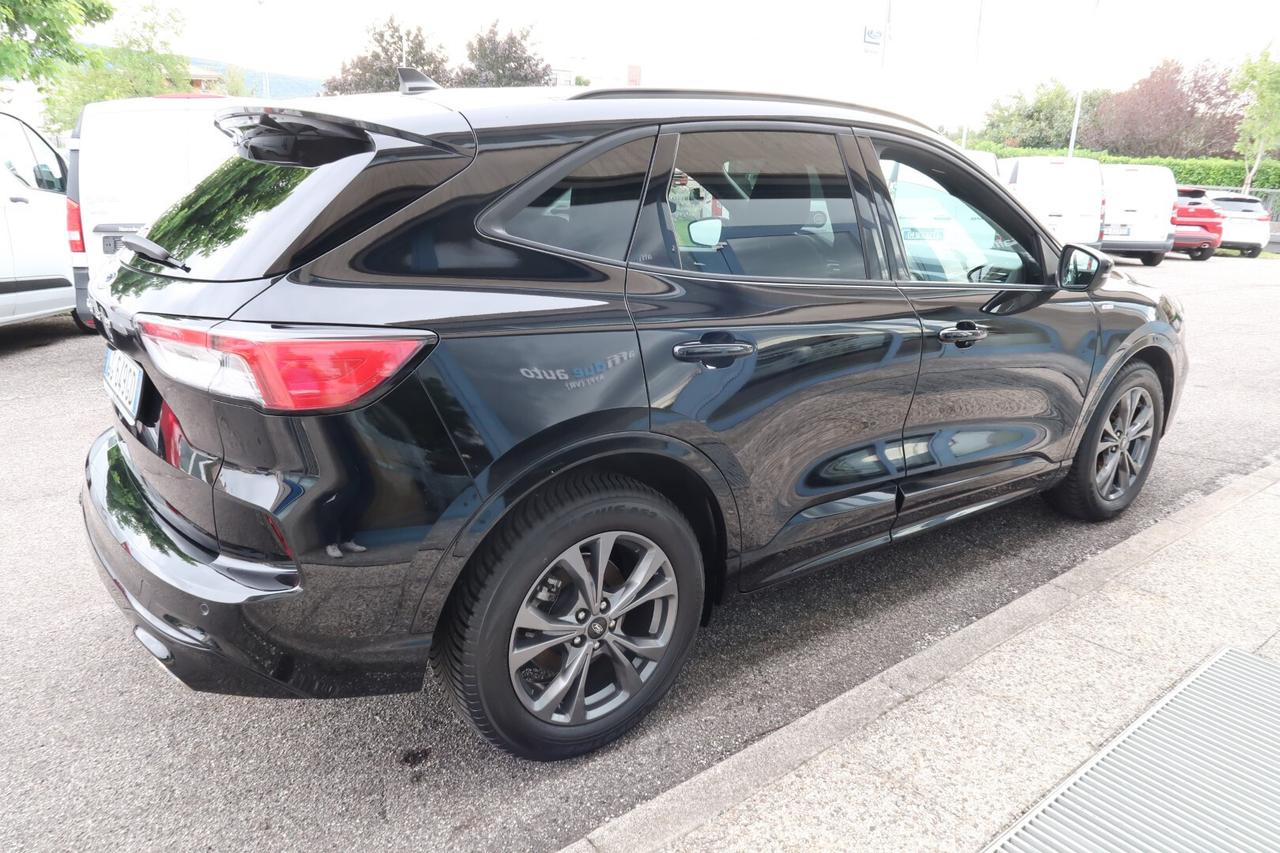 Ford Kuga 1.5 EcoBlue 120 CV aut. 2WD ST-Line