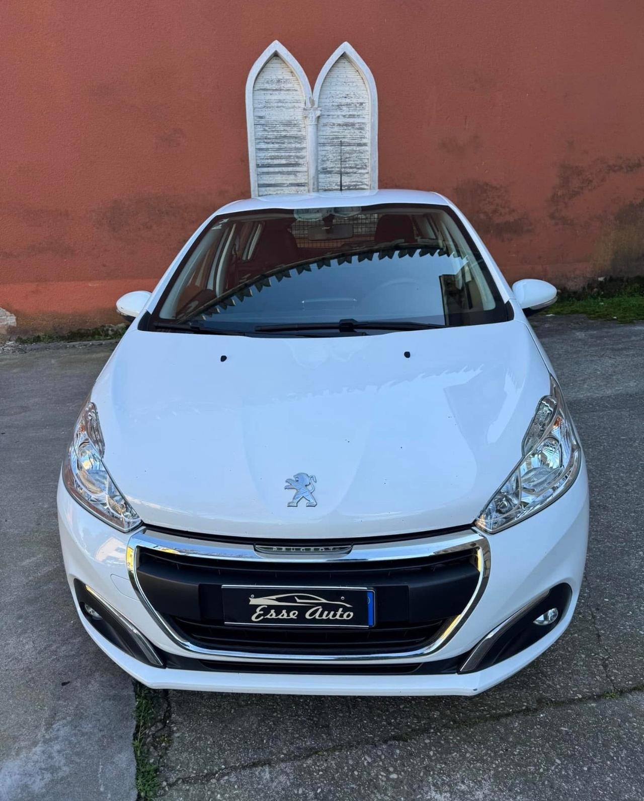 Peugeot 208 BlueHDi 100 S&S 5 porte Van Active