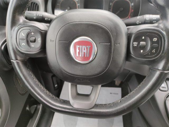 FIAT Panda New 1.2 Lounge CLIMA OK NEOPATENTATI