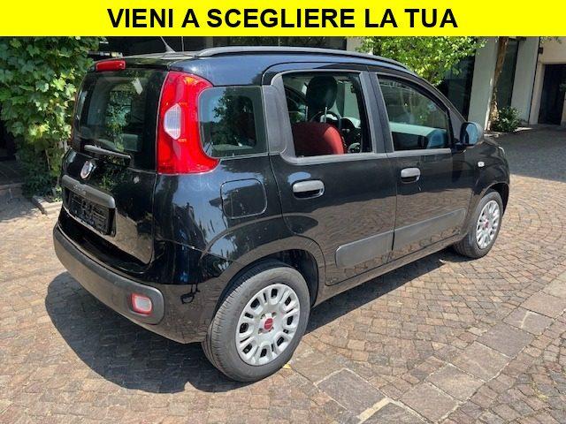 FIAT Panda 1.2 Benzina Neopatentati