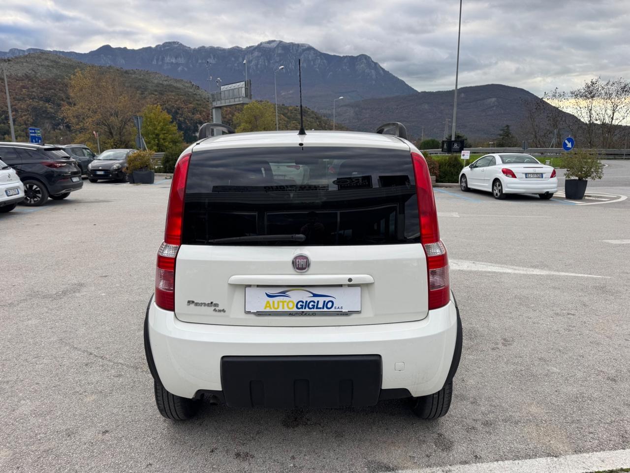 Fiat Panda 1.2 4X4 Dynamic GPL