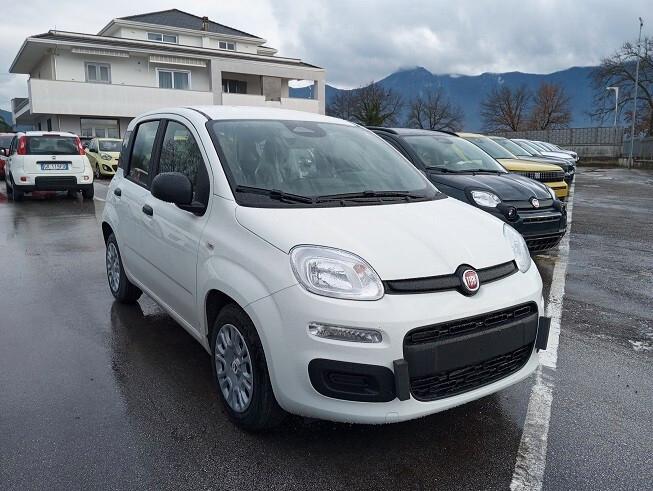 Fiat Panda 1.0 FireFly S&S Hybrid Icon