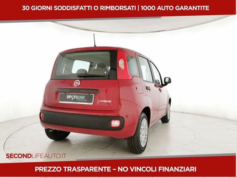 FIAT Pandina III 2024 Panda 1.0 firefly hybrid s&s 70cv 5p.ti