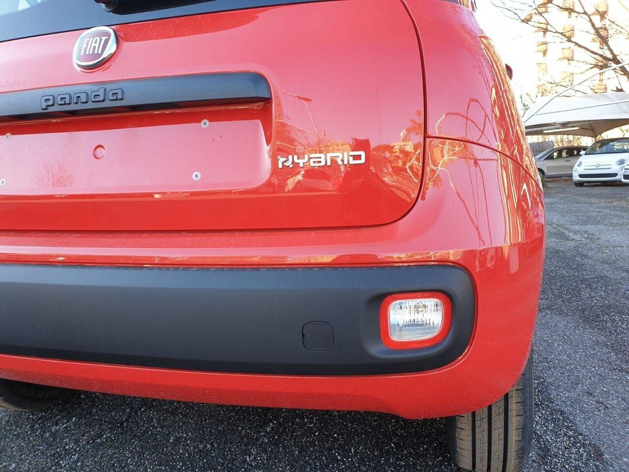 FIAT Panda III 2021 - Panda 1.0 firefly hybrid s&s 70cv