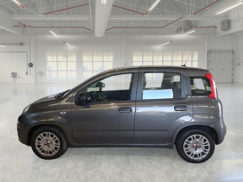 FIAT PANDA 1.0 FireFly 70cv S/S Hybrid 5 PORTE