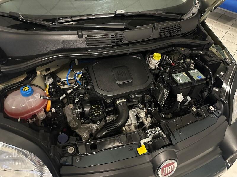 FIAT Panda 3ª serie Panda 1.0 FireFly S&S Hybr...