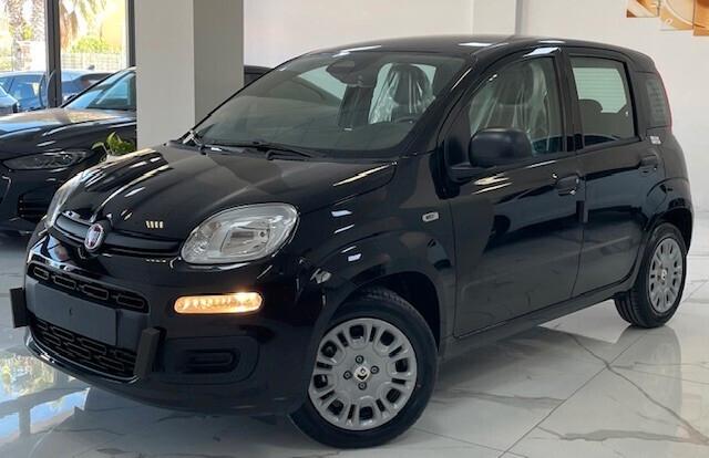 Fiat Panda Pandina 1.0 FireFly 65 CV Hybrid Icon / 5 posti