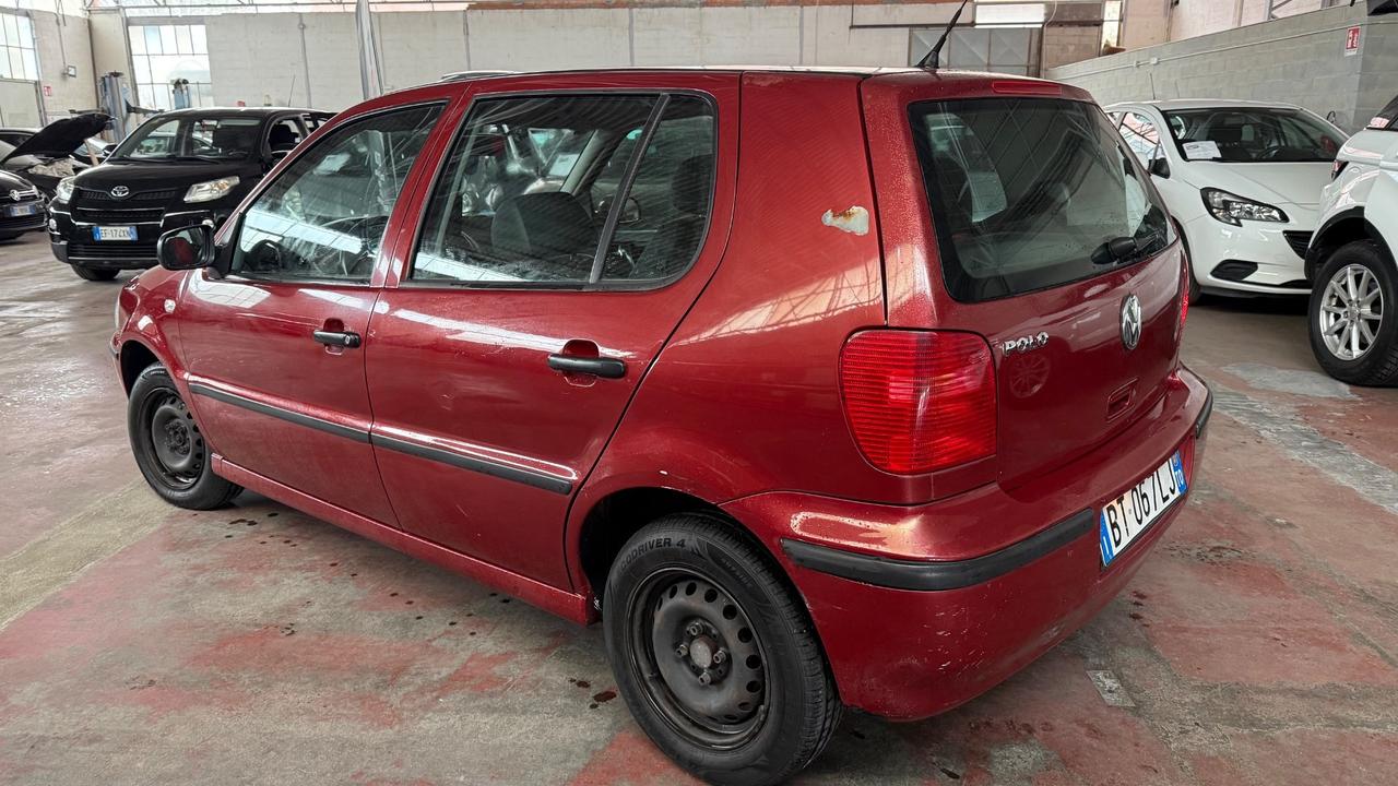Volkswagen Polo 1.0 cat 5 porte