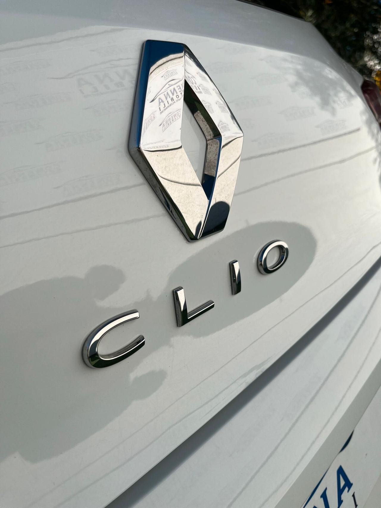 Renault Clio Blue dCi 100 CV 5 porte Business