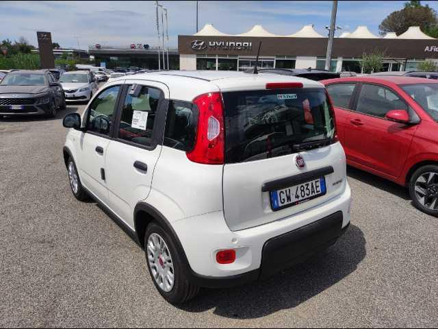 FIAT Panda 1.0 firefly hybrid s&s 70cv