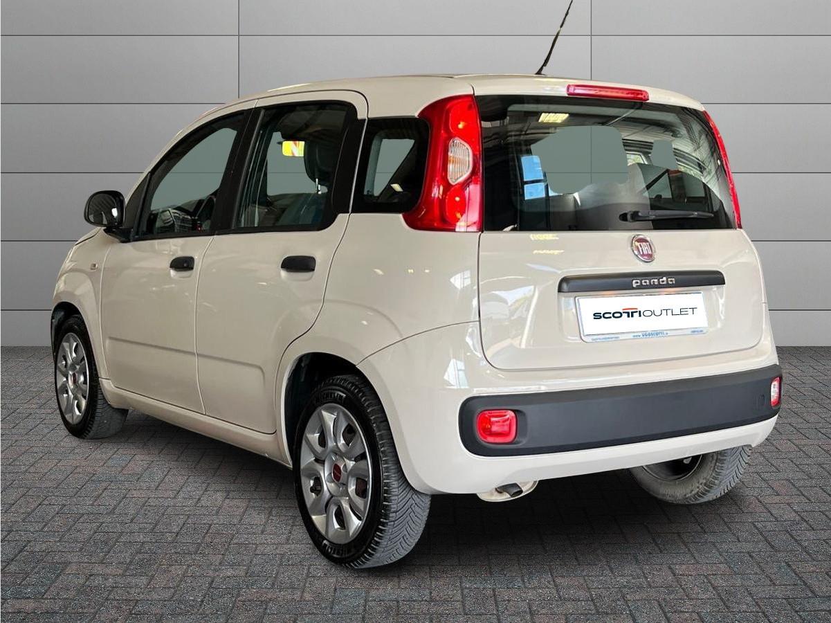 FIAT Panda 3ª serie - Panda 1.2 Pandazzurri