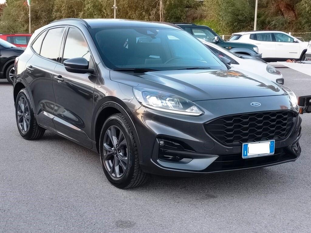 Ford Kuga 1.5 EcoBlue 120 CV aut. 2WD ST-Line X