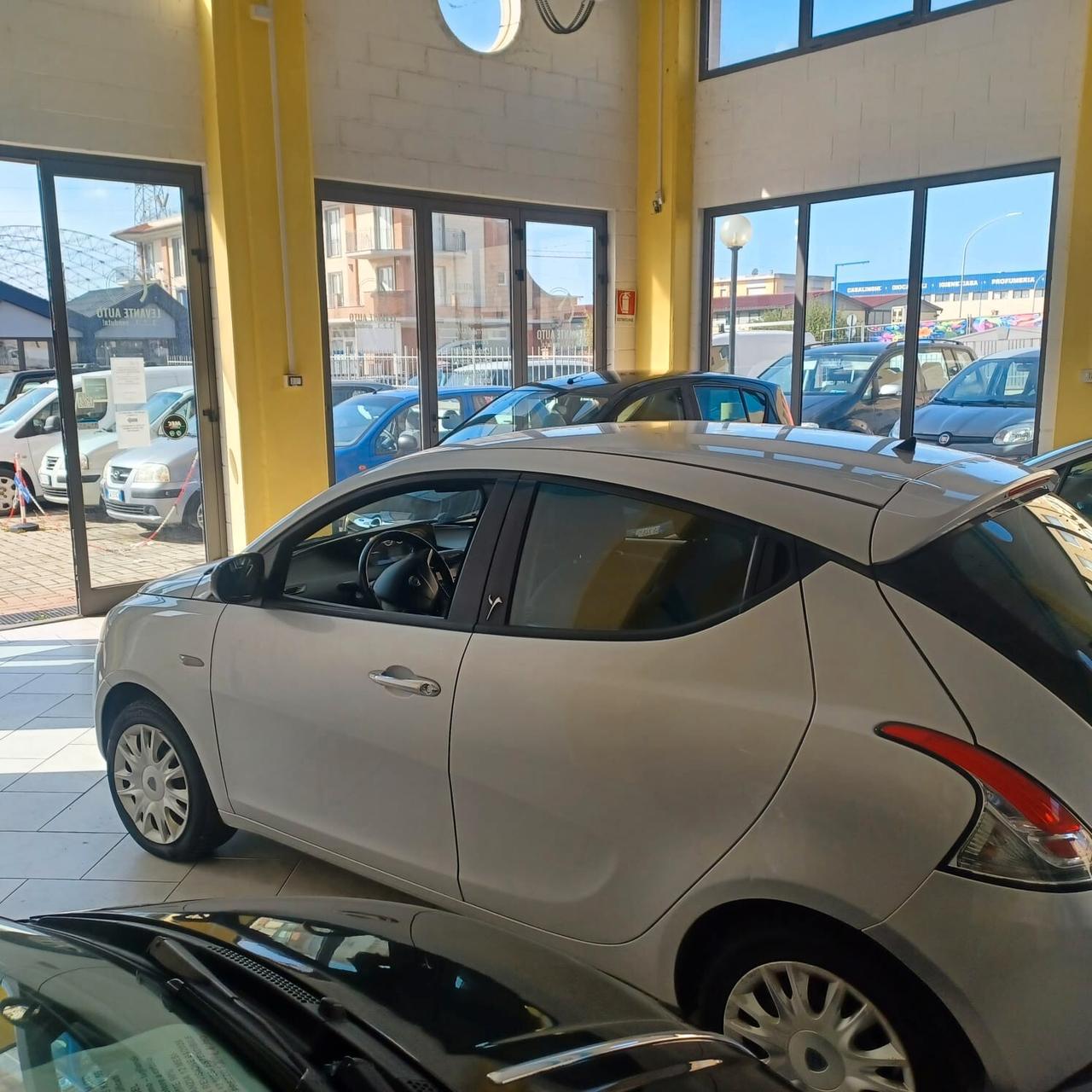 DISTRIBUZIONE FATTA NEOPATENTATI YPSILON 1.2