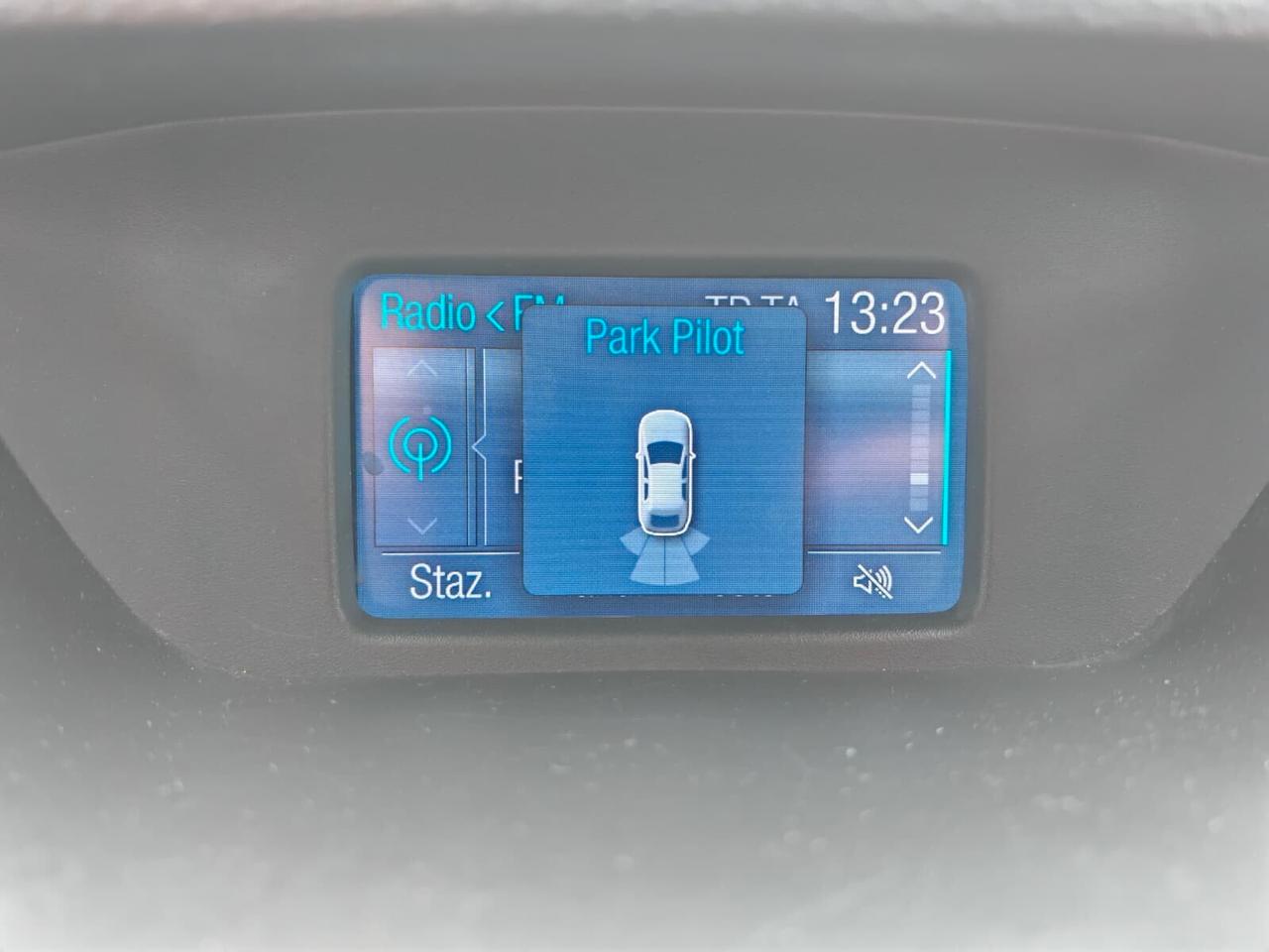 Ford EcoSport 1.5 110 CV Powershift Business