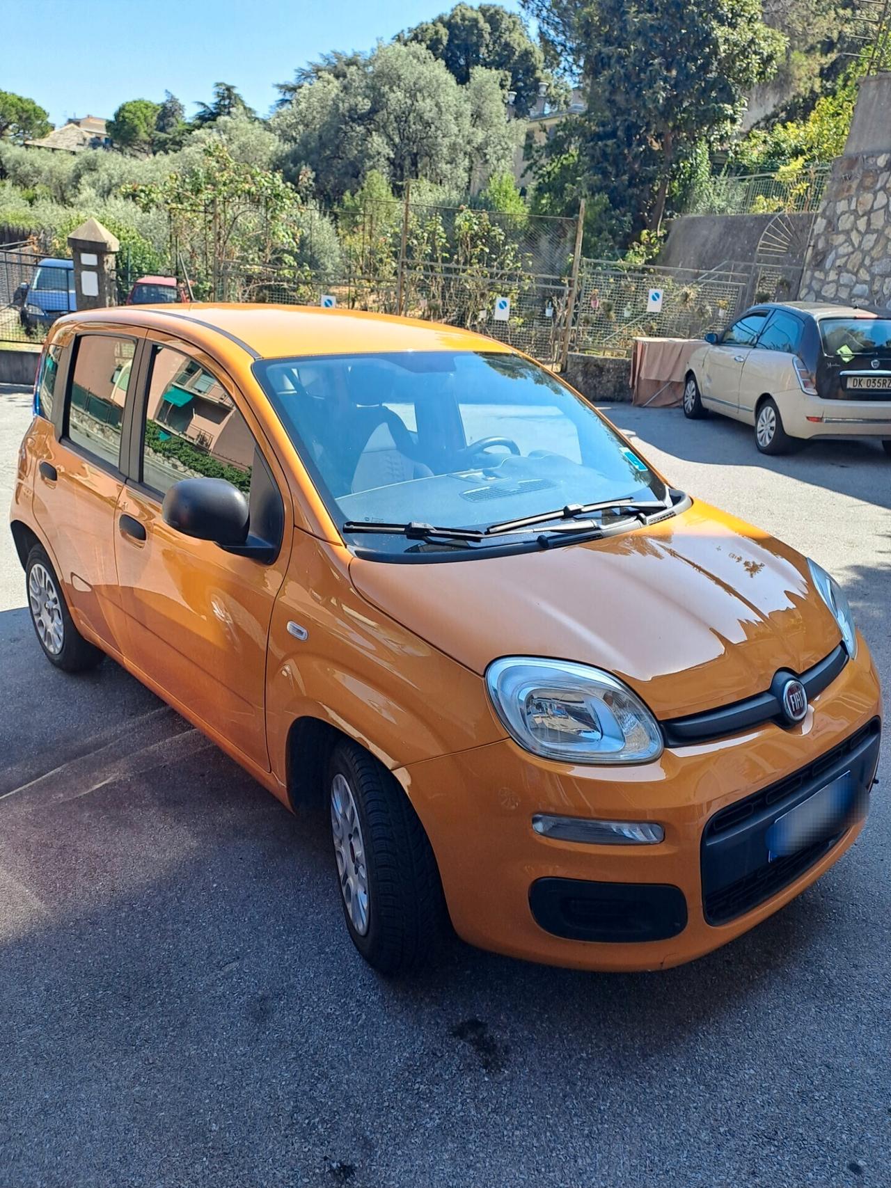Fiat Panda 1.2 Pop