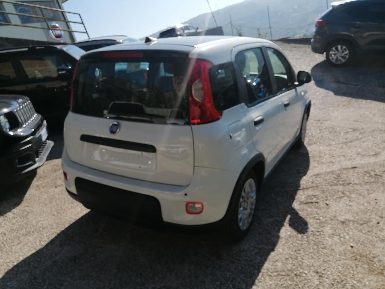 Fiat Panda 1.0 FireFly S&S Hybrid VENDUTA