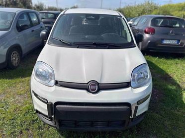 FIAT Pandina III 2024 - Pandina 1.0 firefly hybrid Icon s&s 65cv