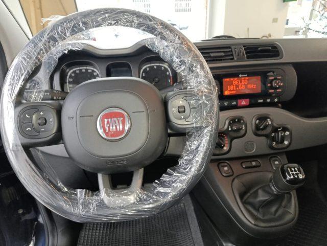 FIAT Panda 1.2 Lounge 70 CV 5 POSTI 35.000 KM!!!