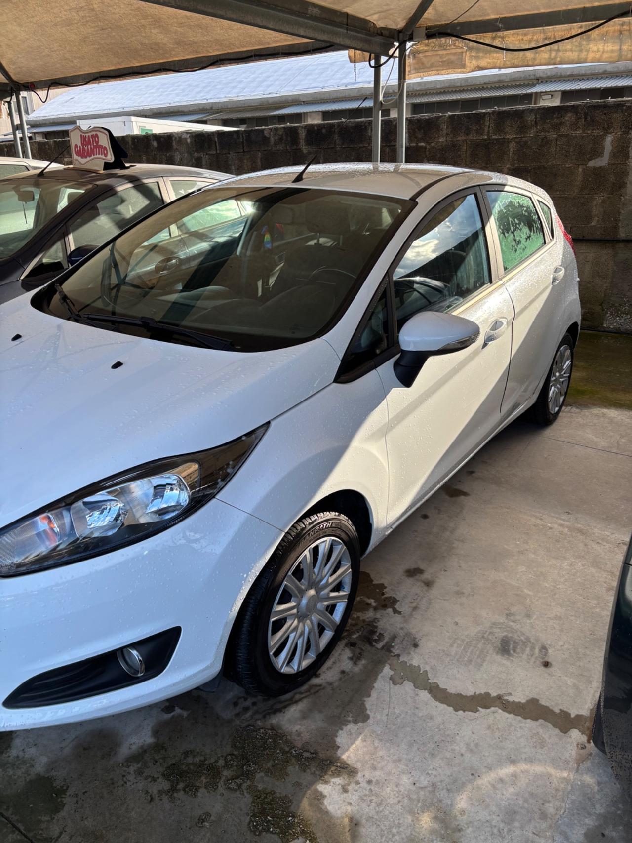 Ford Fiesta 1.0 80CV 5 porte neo patentati