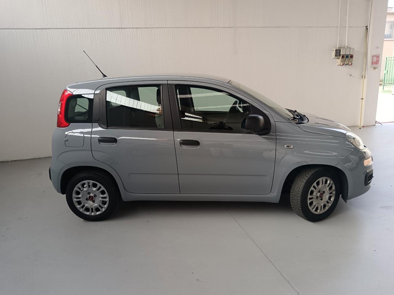 Fiat Panda 1.0 FireFly S&S Hybrid PREZZO REALE