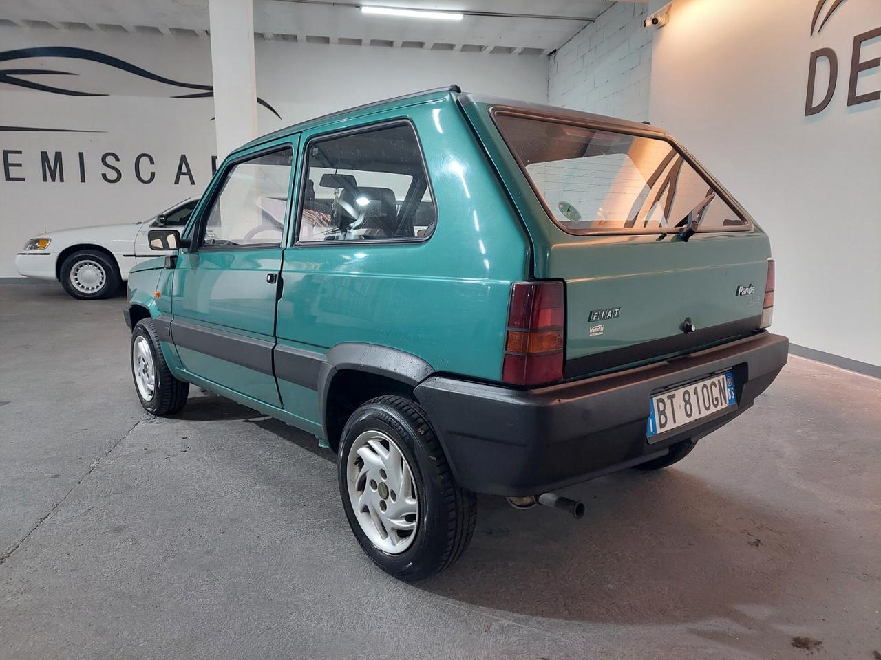 Fiat Panda 1100 i.e. cat Young