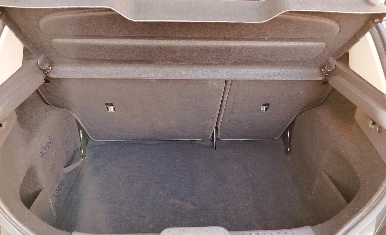 Ford Fiesta 1.0 EcoBoost 100CV 5 porte Titanium