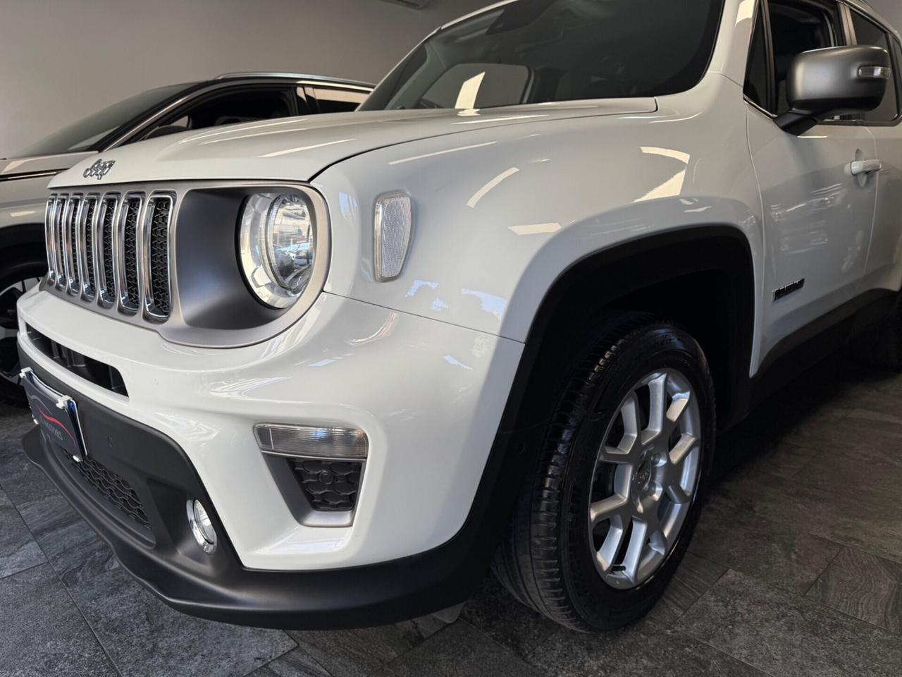 Jeep Renegade 1.6 Mjt 120 CV Limited IVAESPOSTA