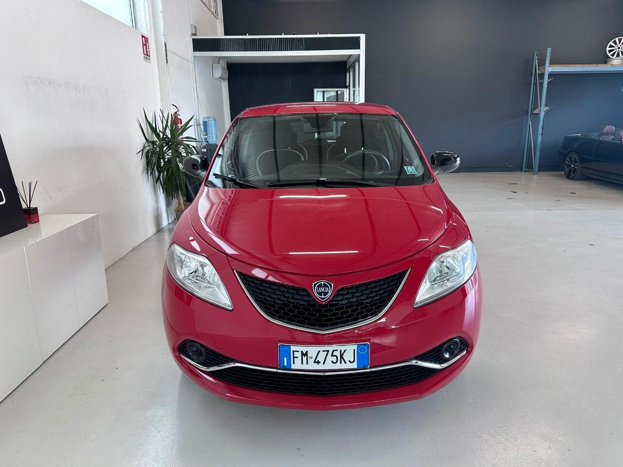 Lancia Ypsilon 5 Porte Ypsilon 1.2 Platinum 69cv my16