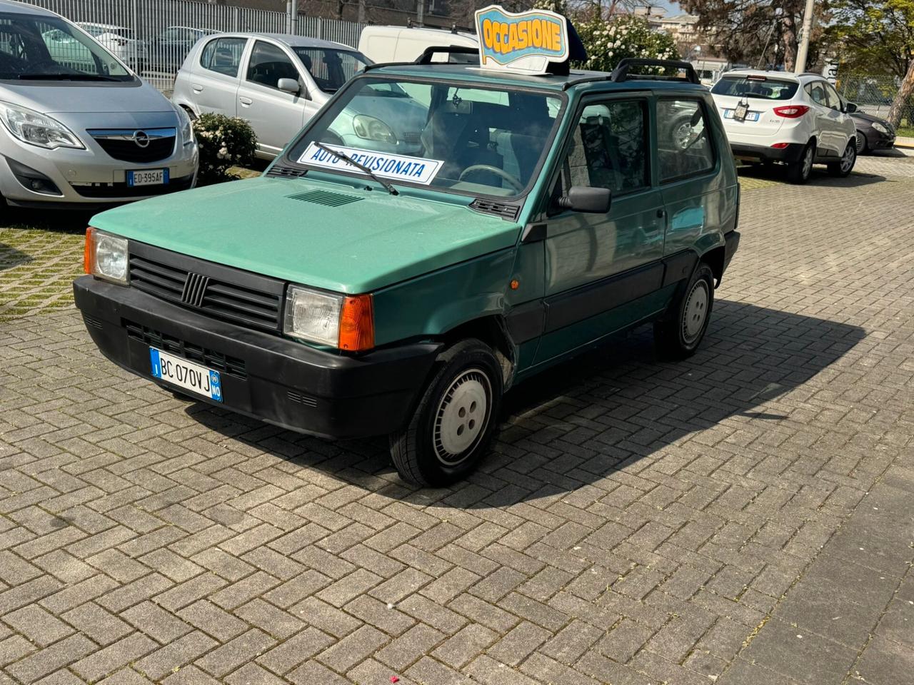 Fiat Panda 900 i.e. cat Young