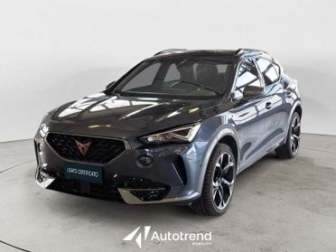 Cupra Formentor 2.0 TDI 150 CV LED