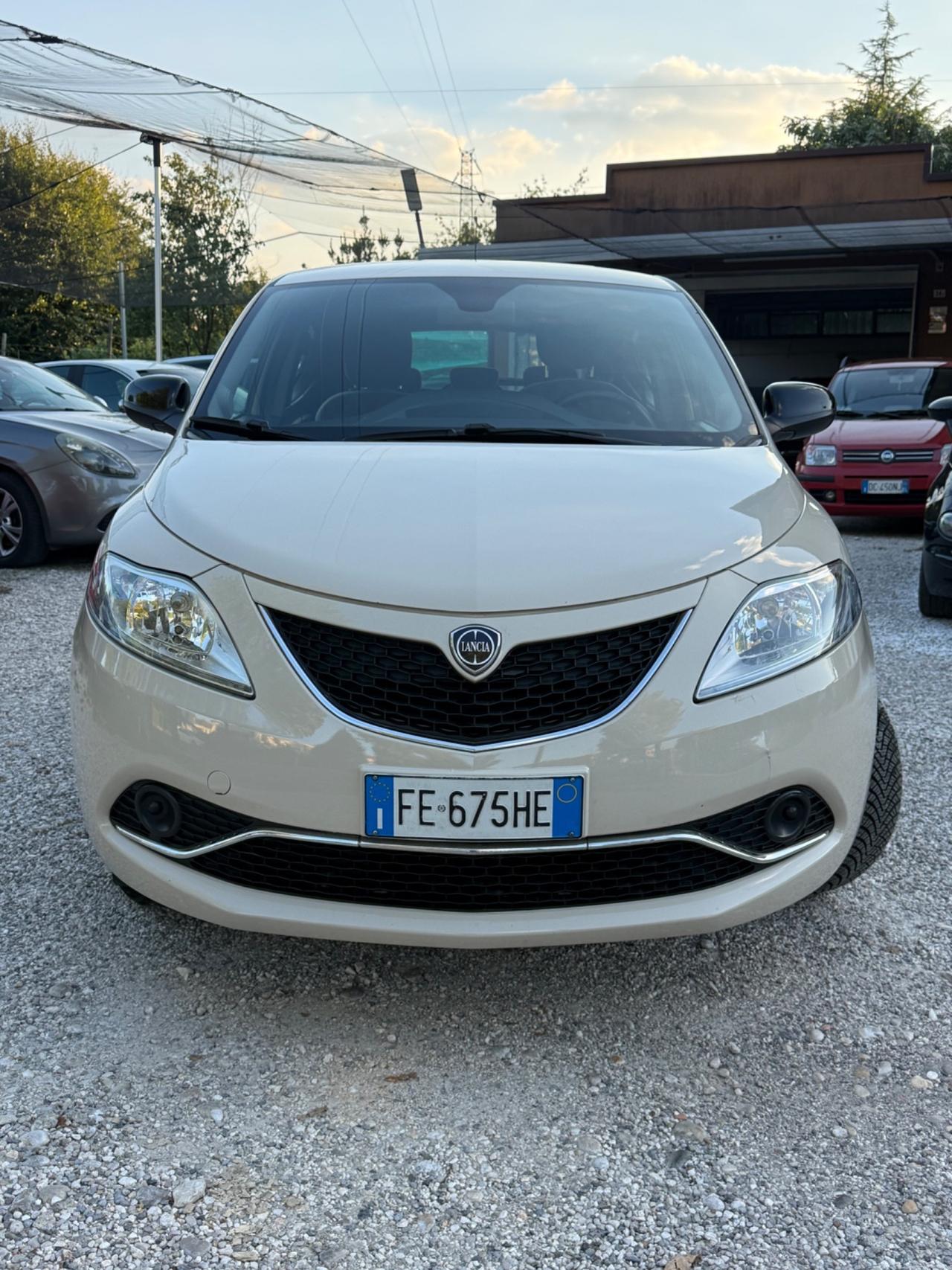 Lancia Ypsilon 1.2 69 CV 5 porte Platinum