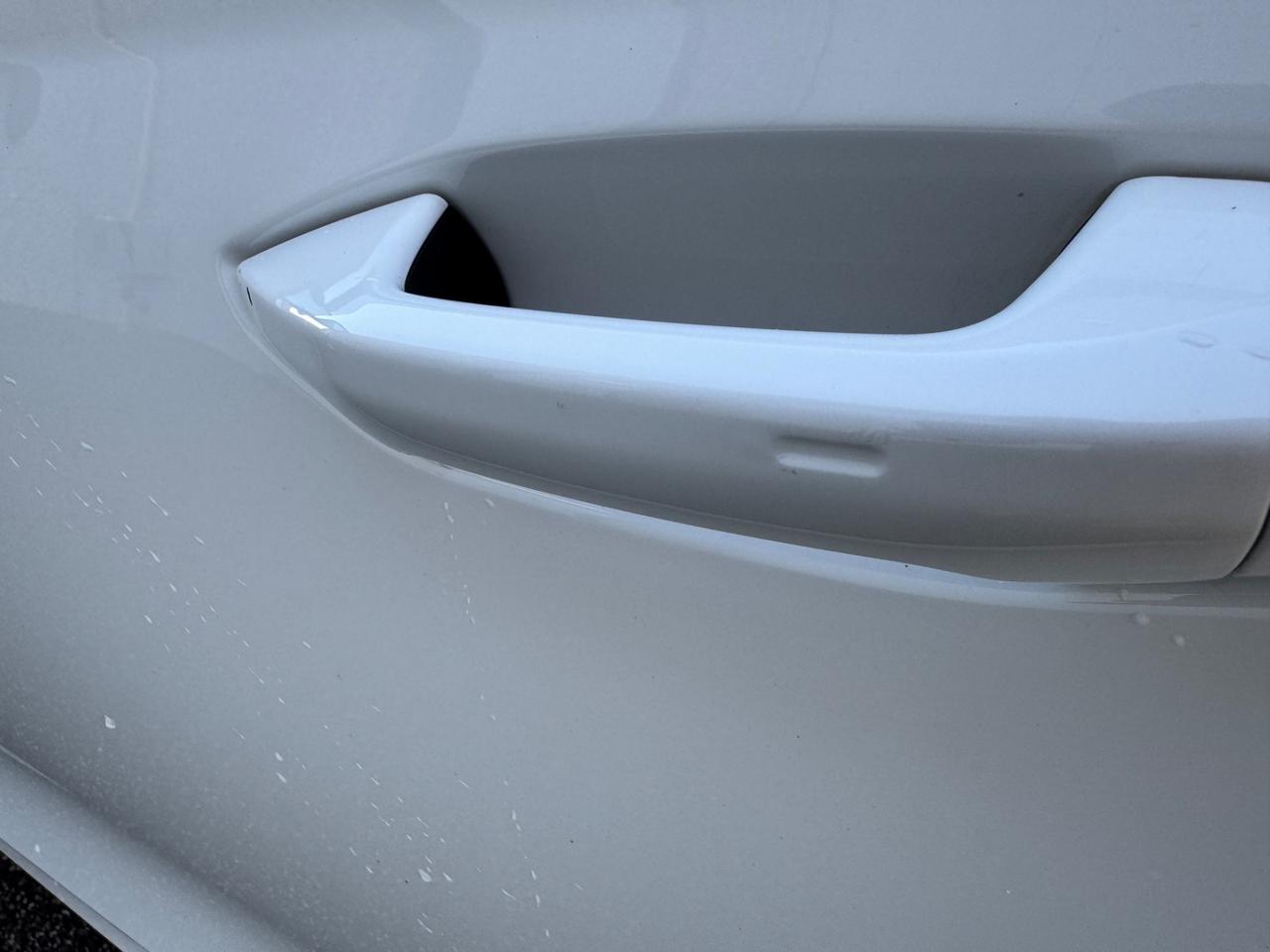 Skoda Octavia 2.0 TDI EVO SCR 150 CV DSG Wagon Style