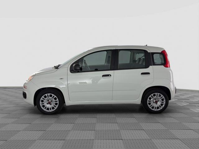 FIAT Panda Panda 1.0 FireFly 70cv S&S Hybrid E6d-Final EASY