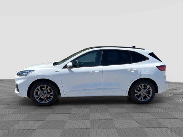 FORD Kuga Kuga 1.5 EcoBlue 120 CV aut. 2WD ST-Line