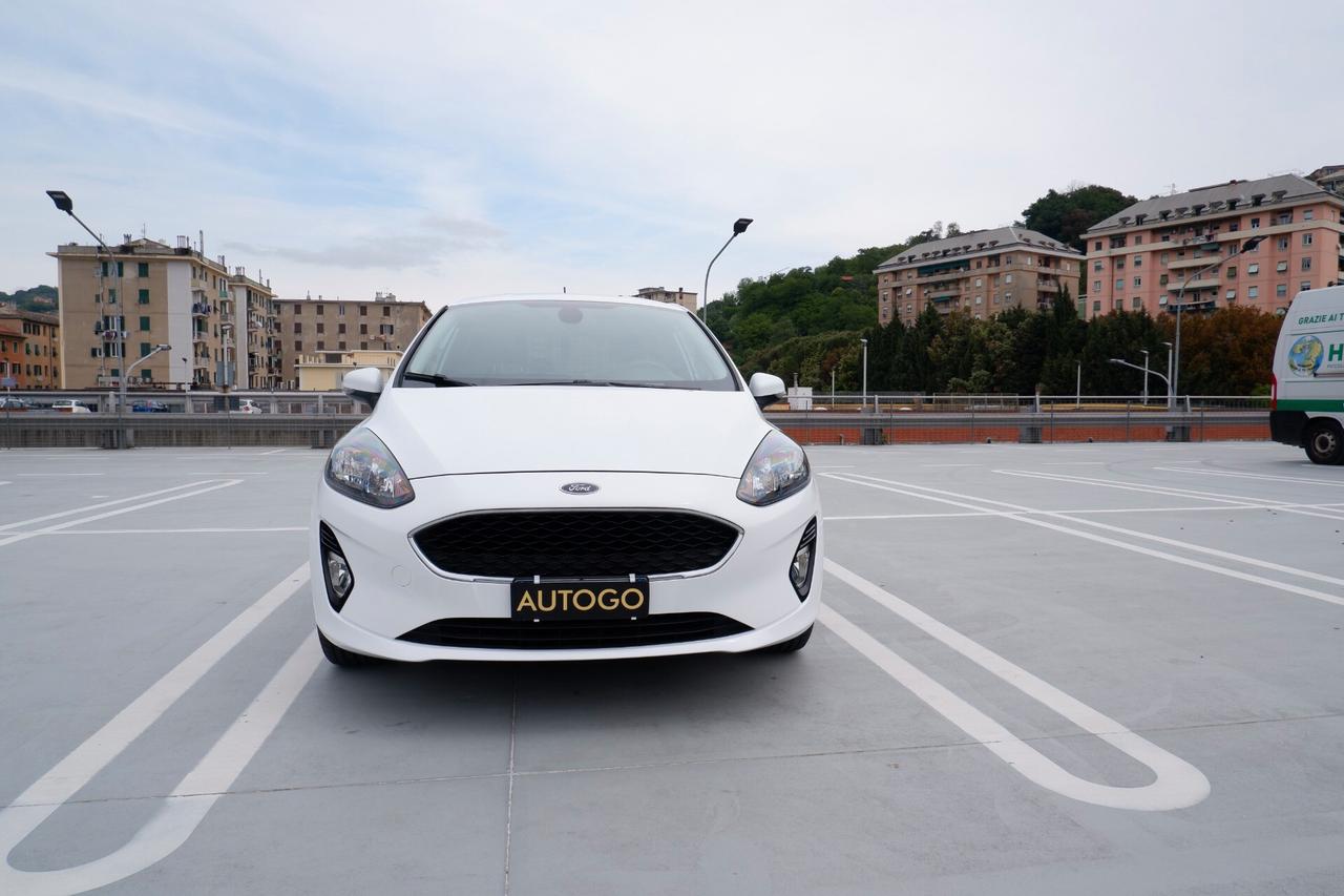 Ford Fiesta 1.1 75 CV 3 porte Van Trend