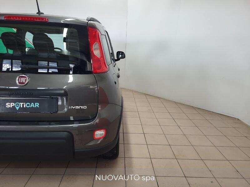 FIAT Panda 1.0 FireFly 70cv S&S Hybrid City Life