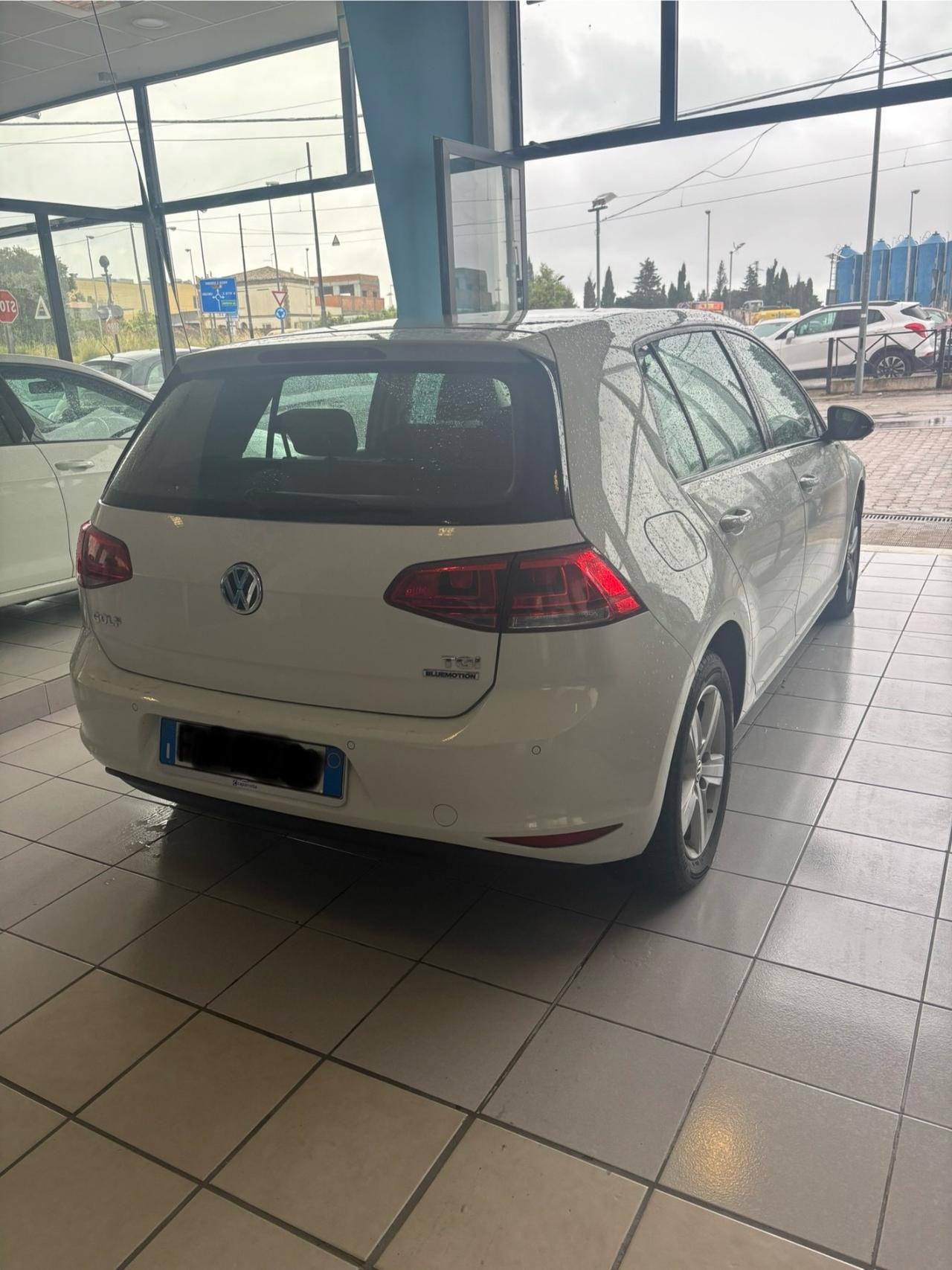 Volkswagen Golf 1.4 TGI 5p. Executive BlueMotion