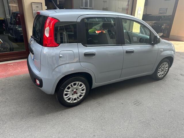 Fiat Panda 1.2 Lounge (PREZZO REALE)