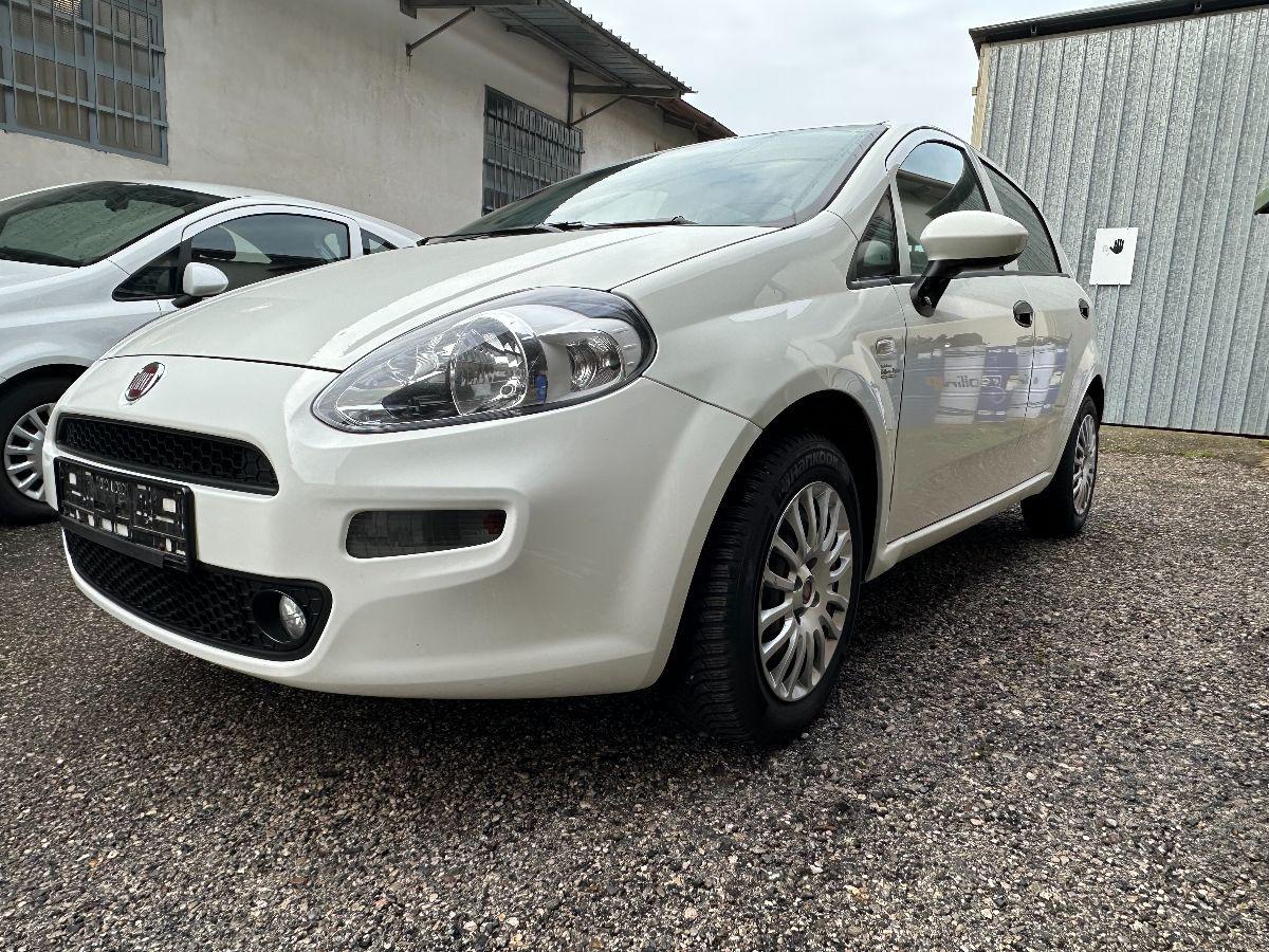 FIAT - Punto - 1.2 8V 5p. Street