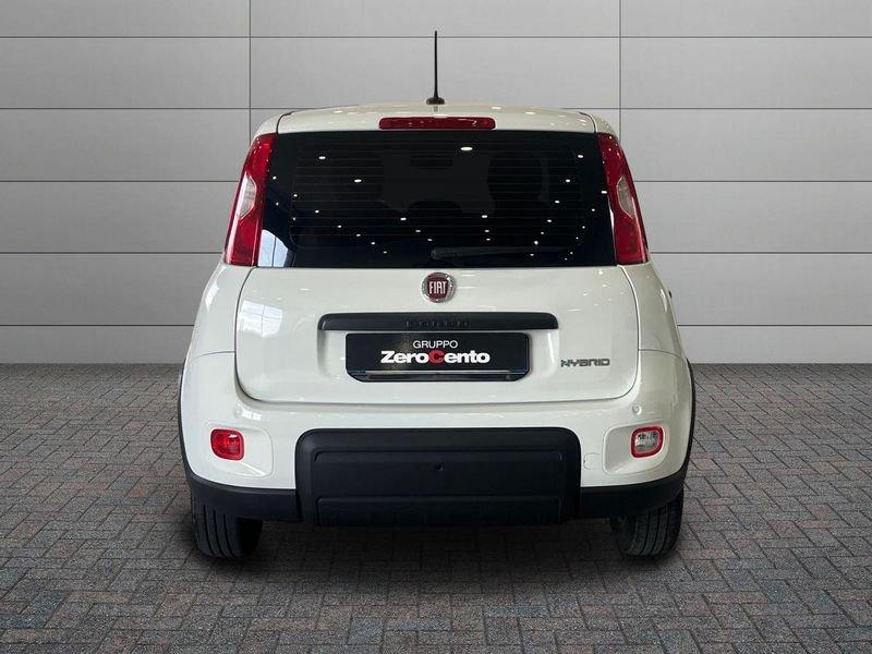 FIAT Panda Panda 1.0 firefly hybrid s&s 70cv