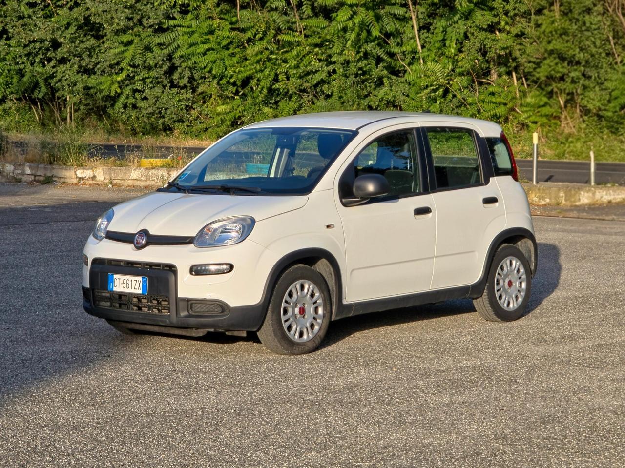 Fiat Panda 1.0 FireFly S&S Hybrid CV-69 E6 Manuale NEO 2024