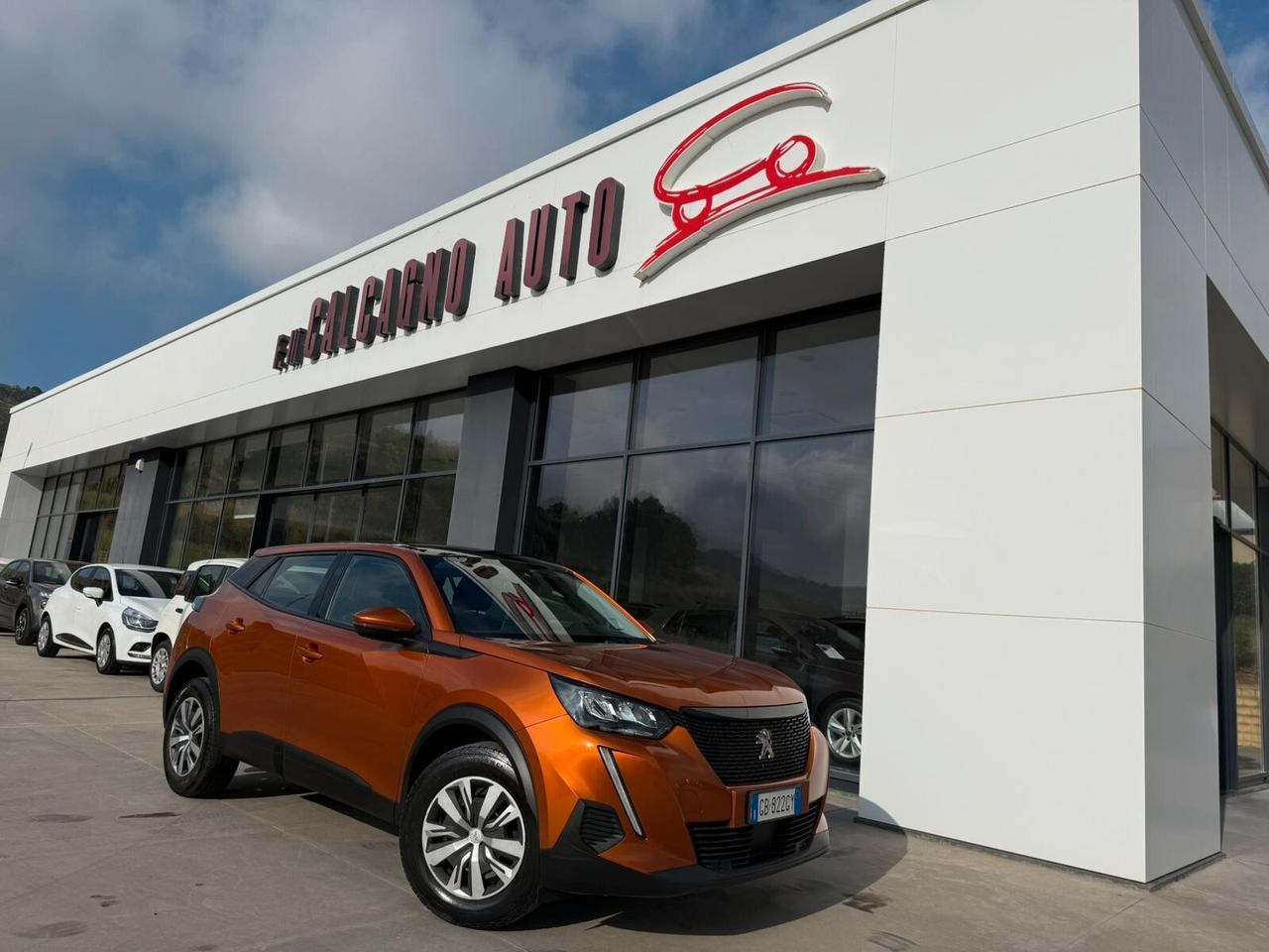 Peugeot 2008 BlueHDi 100 S&S Active