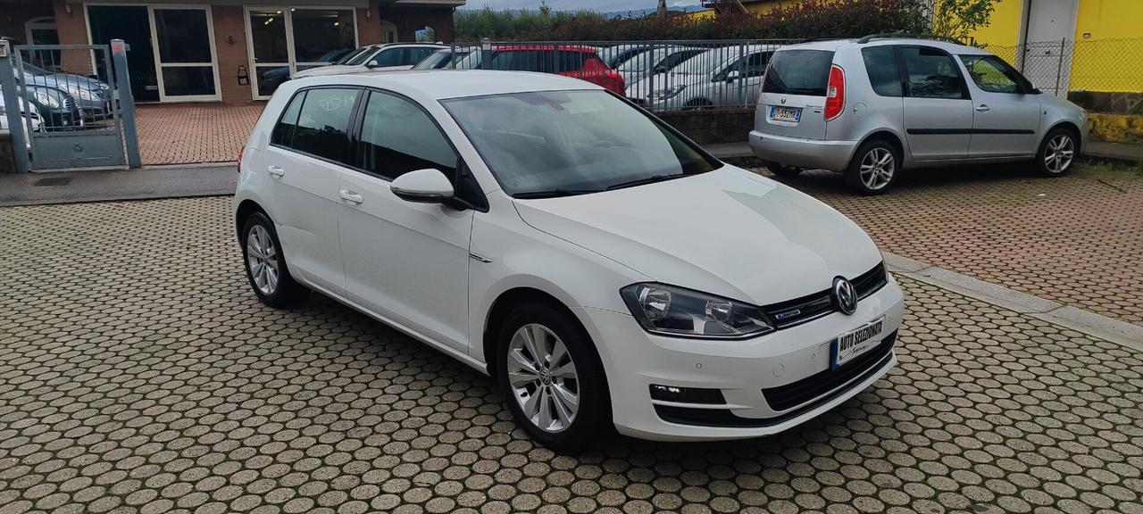 Volkswagen Golf 1.4 TGI 5p. Executive BlueMotion