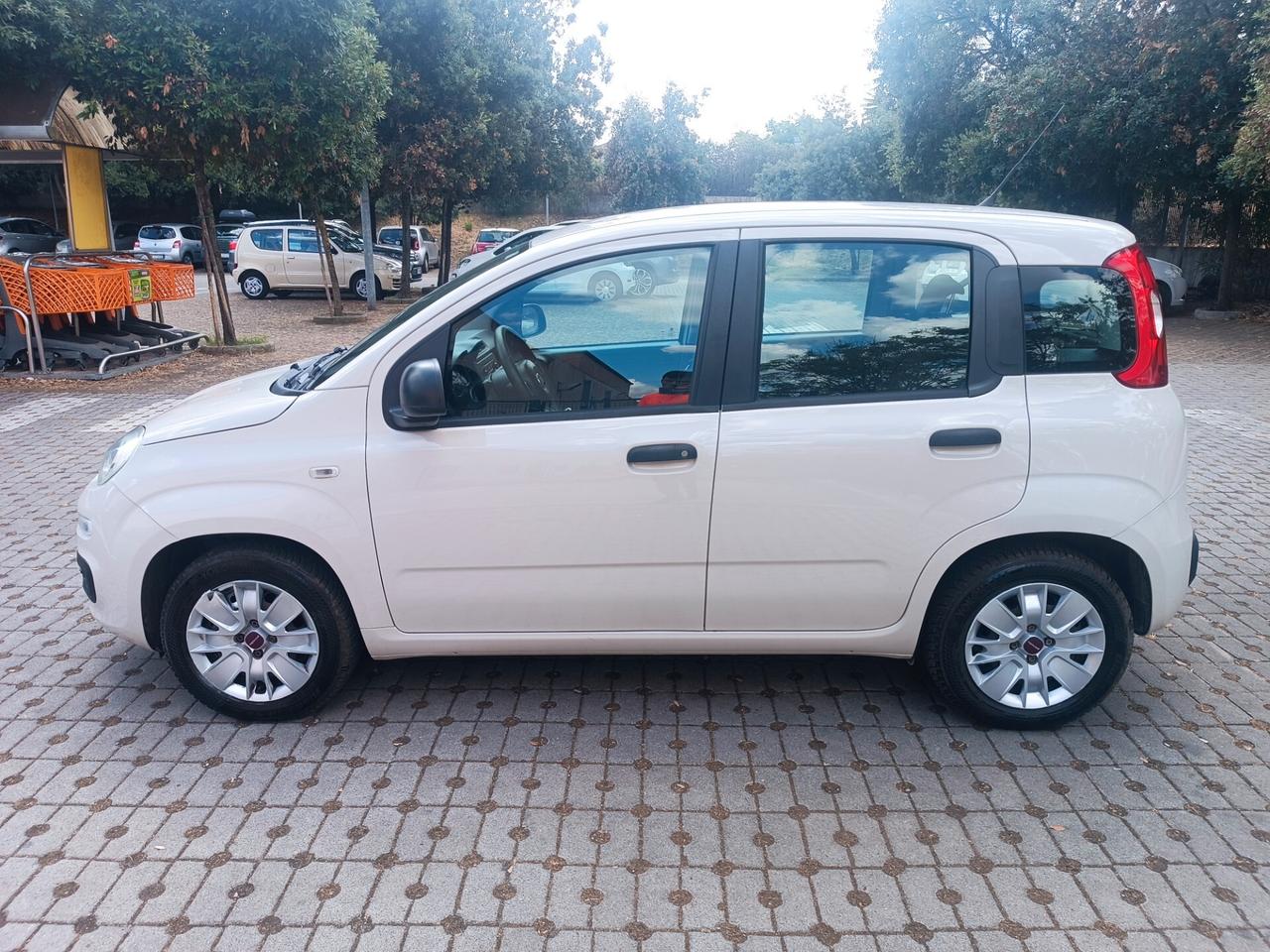 Fiat Panda 1.2 Easy PERFETTA