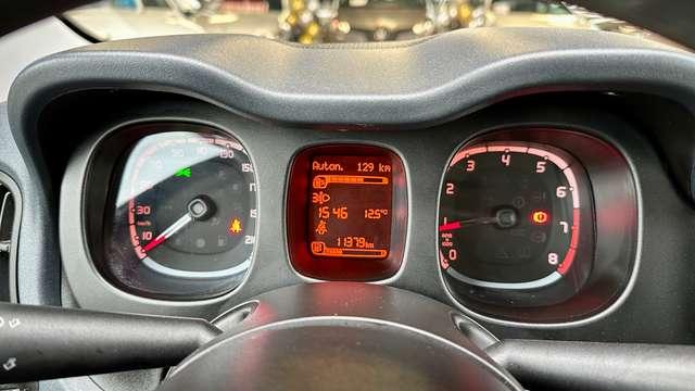 Fiat Panda 1.0 firefly 69CV S&S hybrid + NeoPatentato