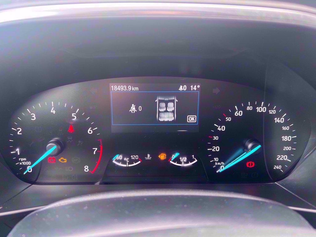 FORD Focus Active 1.0t ecoboost h 125cv del 2022