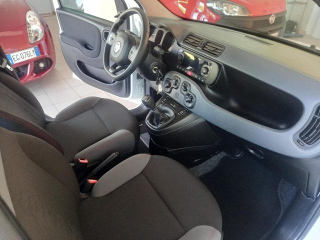 FIAT Panda KM 24337 !!!! M/CASA MADRE